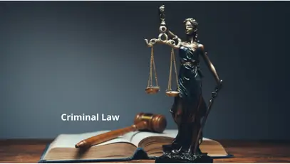 Criminal-law-somireddy- services